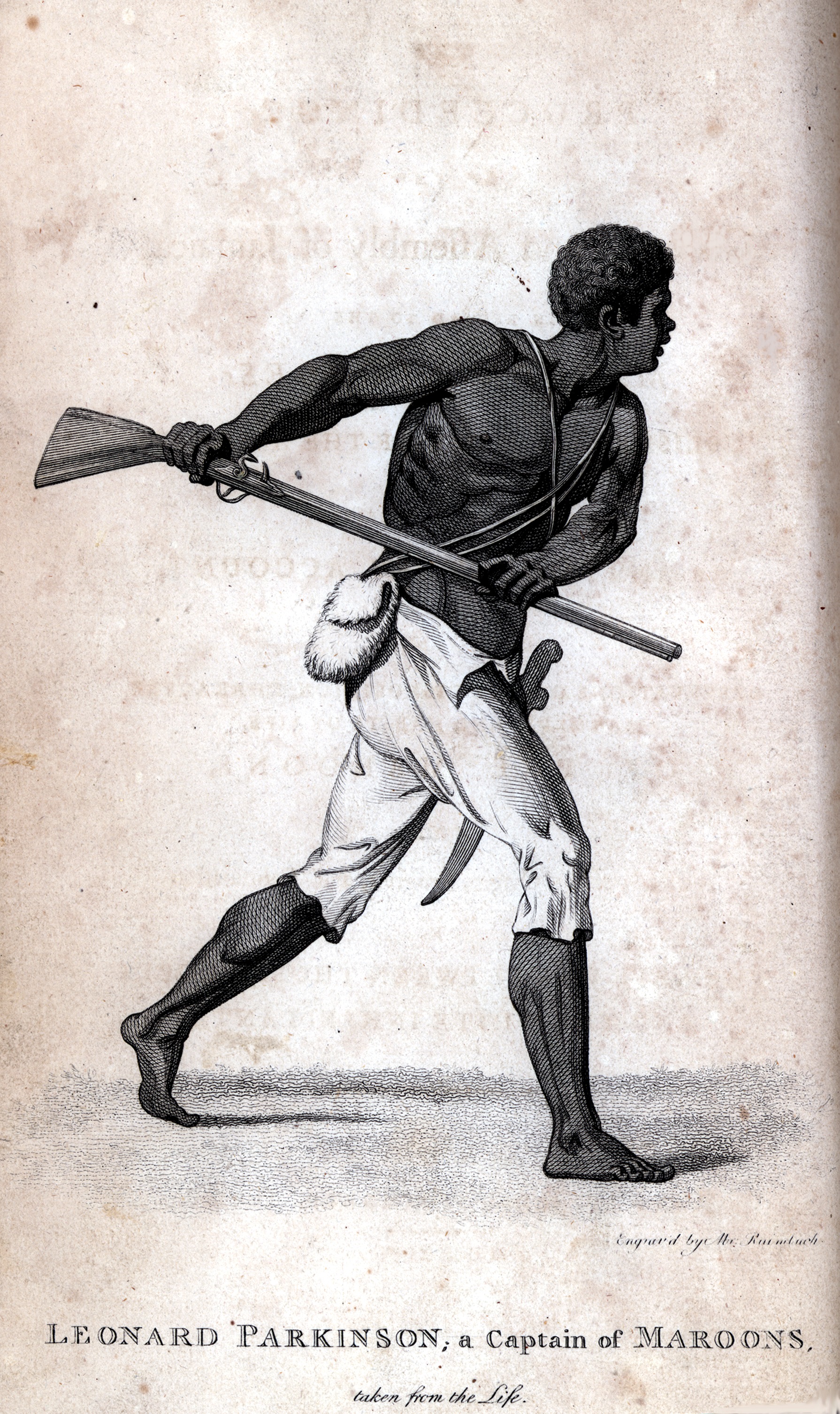 Leonard Parkinson, Jamaican Maroon Captain (illustration: H. Smith)