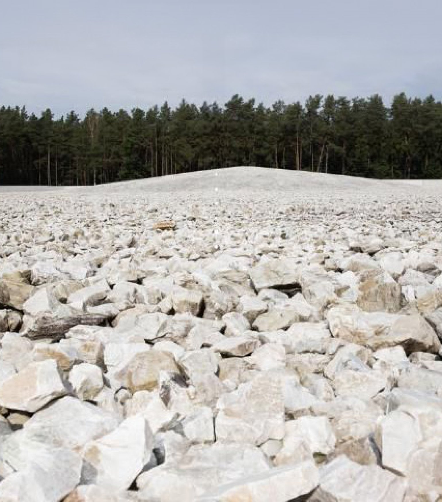 Sobibor: verzet en hoop 2025