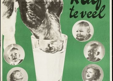De campagne '1 kalf teveel, 8 kinderen geen melk' van 1942 doet de oproep aan boeren om minder kalveren - die emmers melk drinken - te houden.